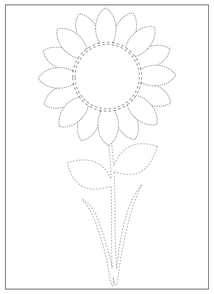 Sunflowers: Tracing Their American Origins to European Fields